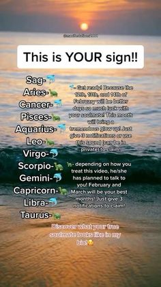 a poster with the names of zodiac signs in front of an ocean and sun setting