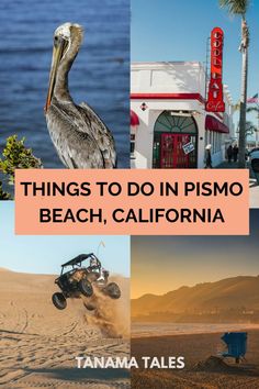 things to do in pismo beach, california with pictures of people on the beach