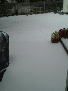 there is snow on the ground next to a trash can and garbage can in the yard