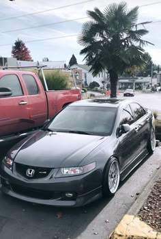 two cars parked next to each other on the side of the road in front of a palm tree