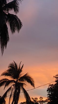 the sun is setting behind some palm trees