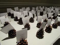 pine cones and place cards are on a table with white paper for each individual to write