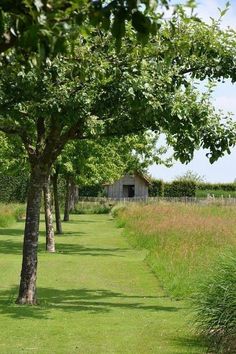 a grassy field with trees and a barn in the background