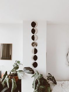 a living room filled with lots of plants