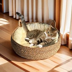 a cat laying in a basket on the floor