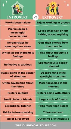 Are you an introvert or an extrovert? Or a little bit of both? Things Introverts Love, Introverts Vs Extroverts, How To Become More Extroverted, How To Be An Extrovert In School, Introvert Vs Extrovert Funny, How To Become An Extrovert, Introvert Extrovert Friendship, Extrovert Meaning, Introvert Test