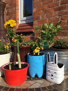 several potted plants with faces painted on them sitting in front of a brick building