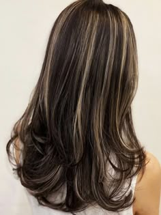 Hair With Highlights, Dyed Hair Inspiration