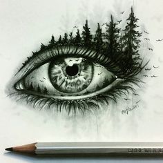 an eye with trees on it and birds flying around the iris, drawn in pencil