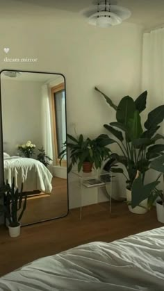 a mirror sitting on top of a wooden floor next to a plant filled room with a bed