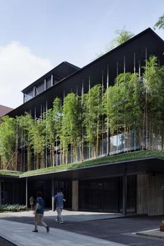 two people walking in front of a building with bamboo trees growing on it's roof