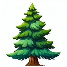 a green pine tree on a white background