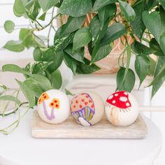 three painted rocks sitting on top of a wooden board next to a potted plant