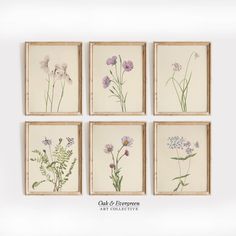 six framed floral prints in various shapes and sizes, each with different flowers on them