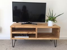 a tv stand with a plant on top of it