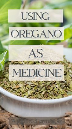 medicinal benefits of oregano Grow Oregano, Herbs To Plant Together, Herbs For Medicine, Health Benefits Of Onions, Benefits Of Onions, Benefits Of Oregano, Remedies For Sinus Infection, Oregano Recipes, Herbs To Plant