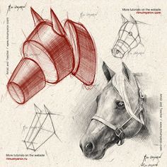 a drawing of a horse's head with different angles and shapes on it, including the bridle