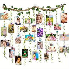 a bunch of pictures hanging from a tree with leaves and vines attached to the branches