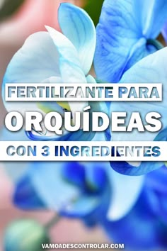 blue flowers with the words fertiliante para orquidas con 3 ingredientes