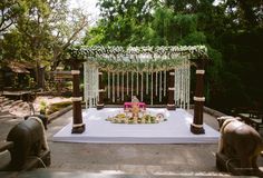 an outdoor wedding setup with white flowers and greenery on the table, surrounded by elephants