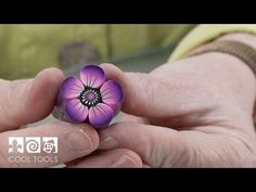 a person holding a purple flower in their hands