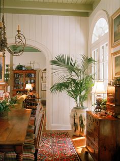 a dining room table with chairs and a potted palm tree in the corner next to it