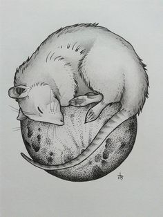 a drawing of a ferret sleeping on top of a ball with its head resting on it's back