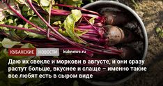 a bowl filled with beets sitting on top of a dirt ground next to green leaves