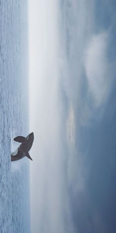 an airplane is flying over the ocean on a cloudy day