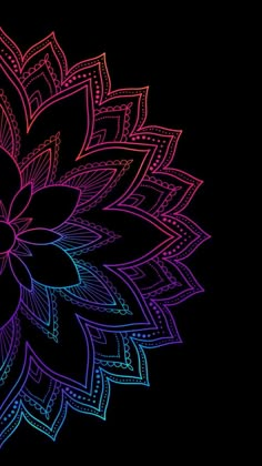 a colorful flower on a black background with lines in the center and petals at the bottom