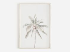 a palm tree is shown in a white frame