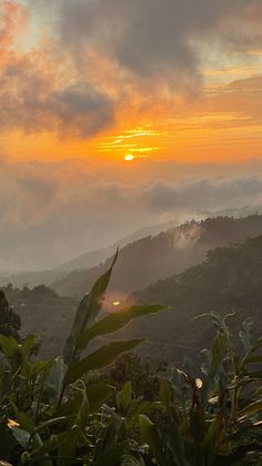 Sunsets. Mountains . Jamaica Summer Views Nature, Stunning Views Nature, Blue Mountain Jamaica, Pretty Views Nature, Jamaica Mountains, Jamaica Scenery, Jamaica Vacation Aesthetic, Jamaica Aesthetic Wallpaper, Black Earthy Aesthetic