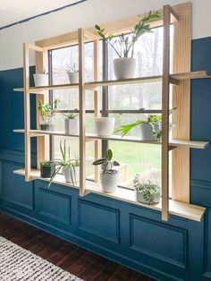 a window sill filled with potted plants in front of a blue painted wall