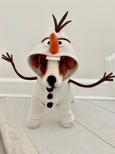 a dog dressed in a costume standing on its hind legs and wearing a hat with an orange nose