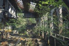 an abandoned building with lots of trees growing out of the roof and windows in it