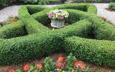 a garden filled with lots of different types of flowers and plants growing in the middle of it