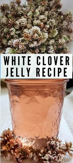 a potted plant sitting on top of a table next to a sign that says white clover jelly recipe