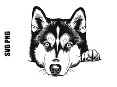 a black and white drawing of a dog's head with its paws on the side