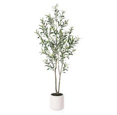 PRICES MAY VARY. Bring nature indoors with this lifelike and realistic artificial olive tree that complements any home or office decor Easy to clean and maintain, this low-maintenance plant is perfect for busy individuals who want to enjoy the beauty of nature without the hassle of watering or pruning. The branches and trunk of artificial olive tree are expertly reinforced with a metal structure for unparalleled strength and durability.Tool-less and easy to assemble A 5 ft-tall olive tree comes Olive Tree Indoor, Moringa Oleifera Tree, Artificial Indoor Trees, Artificial Olive Tree, Olive Plant, Dracaena Plant, Mediterranean Living, Faux Olive Tree, Fake Plants Decor