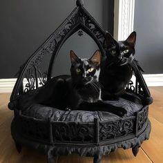 two black cats sitting in an ornate cat bed