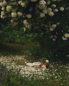 an open book sitting on top of a field of flowers next to a bush with white flowers