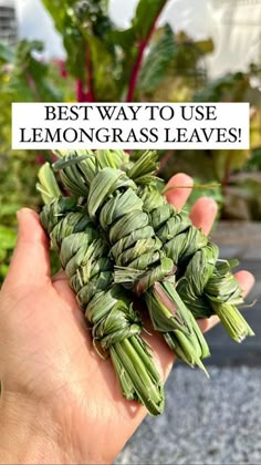 someone holding up some leaves in their hand with the words best way to use lemongrass leaves