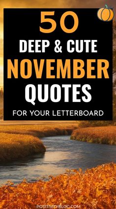 the words 50 deep and cute november quotes for your letterboard