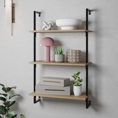 three shelves on the wall with plants, books and other items in them next to a potted plant