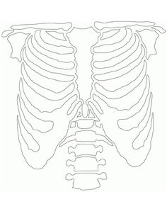 the ribcage is shown in black and white, with pink border around it