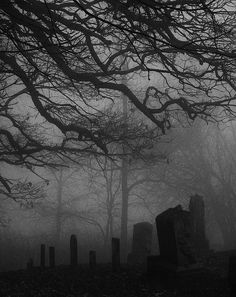 a cemetery in the middle of a foggy forest with trees and headstones on it