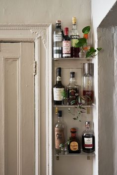 a shelf filled with liquor bottles next to a white door and potted plant on top of it