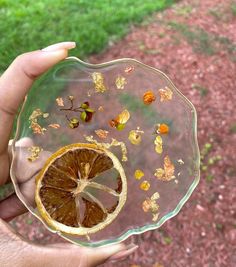 a person holding a glass plate with an orange cut in half