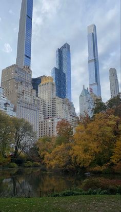 the city skyline with skyscrapers and trees in autumn