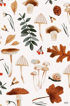 an illustration of mushrooms and leaves on a white background